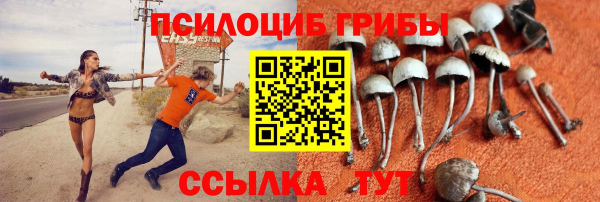 Ярцево  Псилоцибиновые грибы прущие грибы  Псилоцибиновые грибы мицелий  Вход с VPN 