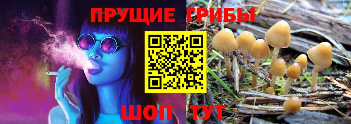 Псилоцибиновые грибы ЛСД Ярцево